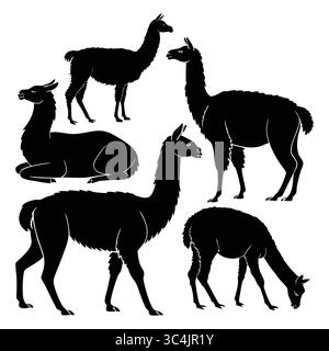 Silhouettes d'alpaga et de lamas dans diverses poses mettant en valeur le pâturage et le repos Illustration de Vecteur