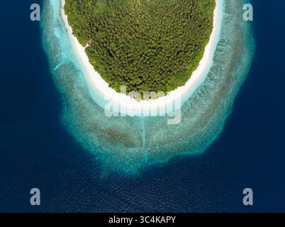 Vue aérienne du cœur vert luxuriant de l'île animée rencontre l'étreinte turquoise du récif, un contraste saisissant avec la mer d'un bleu profond, Kendhoo, l'atoll de Baa, Maldives. Banque D'Images