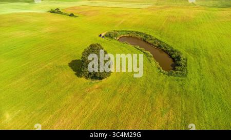 Vue aérienne d'un petit étang entouré de champs agricoles verdoyants avec un arbre solitaire à proximité. Paysage de campagne d'été tranquille en Lituanie rurale Banque D'Images