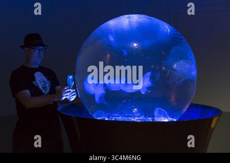 7 septembre 2018 - Tacoma, Washington, États-Unis - Tacoma, Washington : un visiteur prend une photo du globe gelé lors de l'inauguration de l'Aquarium des mers du Pacifique au zoo et aquarium de point Defiance. L'habitat touchable et la fontaine sont remplis de méduses lunaires. L'aquarium a ouvert au public le 7 septembre, remplaçant l'ancien aquarium North Pacific Seas Aquarium dans le cadre d'un investissement de 65 millions de dollars dans le parc. (Crédit image : © Paul Christian Gordon/ZUMA Wire) Banque D'Images