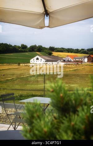 Restaurant sur le toit en été dans la campagne belge Banque D'Images