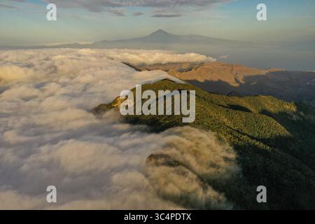 Vue aérienne des sommets verdoyants des montagnes traversant une mer de nuages blancs, avec la silhouette lointaine du Teide, la Gomera, îles Canaries, Espagne. Banque D'Images