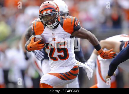 19 septembre 2015 - Cincinnati, OH, USA - Giovani Bernard, de Cincinnati Bengals, dirige le ballon le dimanche 20 septembre 2015 au Paul Brown Stadium de Cincinnati, Ohio. (Crédit image : © K.C. Alfred/San Diego Union-Tribune/TNS via ZUMA Wire) Banque D'Images