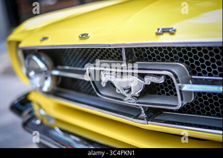 Gros plan d'une calandre et du logo Mustang sur une Ford Mustang jaune 1965, photographiée lors d'un événement de voitures anciennes à Kitchener, Ontario, Canada. Banque D'Images