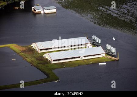 17 septembre 2018 - NC, États-Unis - trois jours après que l'ouragan Florence a touché terre à Wilmington, NC, l'eau de crue entoure toujours les bâtiments de Trenton, NC, le lundi 17 septembre 2018. (Crédit image : © Casey Toth/Raleigh News & observer/TNS via ZUMA Wire) Banque D'Images