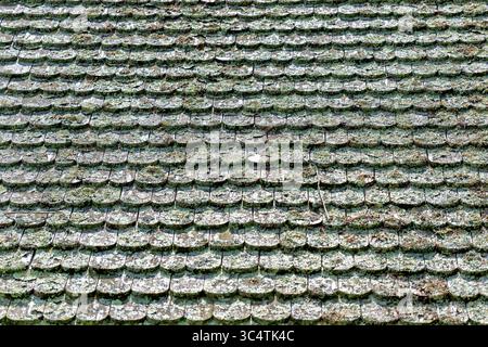 LORTON, Virginie — vue détaillée de bardeaux de toit en bois fendus à la main sur un bâtiment à Gunston Hall, la maison historique de plantation de George Mason. Les bardeaux de bois qui se chevauchent illustrent les techniques traditionnelles de toiture coloniale du XVIIIe siècle utilisées dans la construction de ce manoir de style géorgien. Gunston Hall, achevé en 1759, était le domicile de George Mason IV, l'un des pères fondateurs de l'Amérique et auteur de la Déclaration des droits de Virginie. Banque D'Images