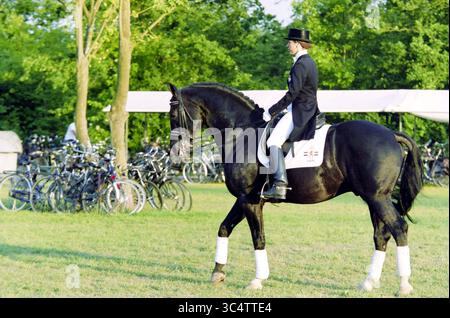 Concours Hippique, Hoofddorp, pays-Bas, 13-06-2003 Whizgle News, Dutch Desk, pays-Bas, 1950-2000 Un cavalier en tenue formelle s'assoit gracieusement au sommet d'un cheval noir, faisant preuve de précision et d'équilibre dans un cadre verdoyant, tandis qu'une collection de vélos se dresse en arrière-plan. Banque D'Images