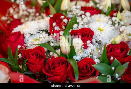 Bouquet de roses rouges et blanches éclatantes avec des accents délicats. Banque D'Images