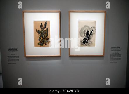 Paris, France. 30 juin 2021. Collection de Bruno Decharme, plus de 400 œuvres, exposition Art brut au Grand Palais, Musée National d'Art moderne - Centre Pompidou à Paris, France, 22 juillet 2025. Crédit : Tereza Supova/CTK photo/Alamy Live News Banque D'Images