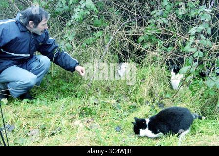 Cat Colony, Vijfhuizen, Vijfhuizen, 13-01-2000 Whizgle News, Dutch Desk, pays-Bas, 1950-2000 Une personne s'accroupit près d'un buisson, offrant de la nourriture à deux chats curieux cachés dans le feuillage, tandis qu'un autre chat se prélasse confortablement sur l'herbe à proximité. Banque D'Images