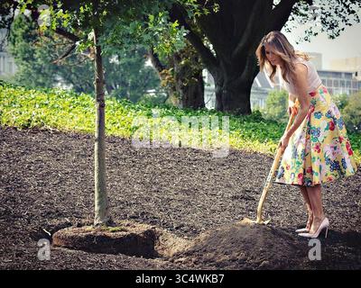27 août 2018 - Washington, DC, États-Unis d'Amérique - la première dame des États-Unis Melania Trump, saisit une pelle de terre alors qu'elle participe à une plantation d'arbres portant des stilettos Christian Louboutin rose clair sur la pelouse sud de la Maison Blanche le 27 août 2018 à Washington, DC. Le jeune arbre remplace un arbre qui a soufflé pendant une tempête de vent plus tôt cette année. (Crédit image : © Andrea Hanks via ZUMA Wire) Banque D'Images