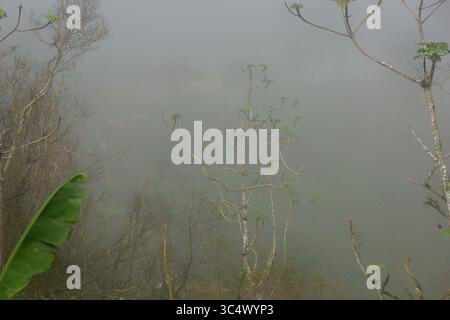 28 octobre 2017 - Villalba, Porto Rico - Fog blanke la maison d'Apolonia Diaz de Hernandez à Villalba, Porto Rico le 28 octobre 2017. Les membres de l'équipe de secours en situation de crise et de famille aident à nettoyer les débris de la maison qui a été ravagée par l'ouragan Maria. Apolonia reste dans une maison de soins infirmiers à proximité jusqu'à ce que la maison soit réparée après la perte de la plupart de ses souvenirs et photos de famille chères. La famille résiliente garde espoir dans une crise de pénuries, y compris l'électricité qui est hors service depuis plus de six mois. ..RÉSUMÉ : il a été comme du sel dans une blessure. L'ouragan était un monstre, mais son Banque D'Images