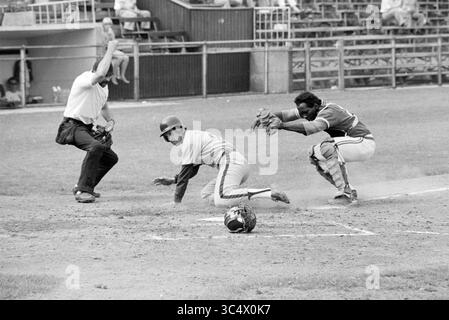 Baseball Nicols-Sparta, Baseball, 27-07-1979 Whizgle News, Dutch Desk, pays-Bas, 1950-2000 Un joueur glisse dans la plaque de la maison, tentant de marquer alors que le receveur se prépare à l'étiqueter, tandis que l'arbitre signale le jeu. La scène capture l'intensité d'un match de baseball, avec des spectateurs en arrière-plan. Banque D'Images