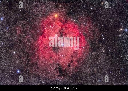 5 septembre 2018 - Alberta, Canada - la grande région de formation d'étoiles de la IC 1396 à Céphée, prise le 5 septembre 2018 depuis chez elle dans le sud de l'Alberta. Le champ large comprend l'étoile orange vif Mu Cephei, ou Garnet Star de Herschelâ€™, en haut. La nébuleuse du tronc d'éléphant est au centre. Le nord est en haut. ..il s'agit d'une pile de 7 expositions : 5 x 6 minutes à ISO 1600 avec un filtre de réduction de la pollution lumineuse LPS et 2 x 5 minutes à ISO 1600 sans filtre LPS, le tout avec l'Astrographe Borg 77mm f/4 et Canon 5D MkII modifié par filtre. J'ai effectué une mise au point entre les clichés filtrés et non filtrés, et j'ai enregistré le Banque D'Images