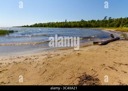 Lac Huron. La côte sablonneuse sauvage de la péninsule Bruce. Ontario, Canada Banque D'Images
