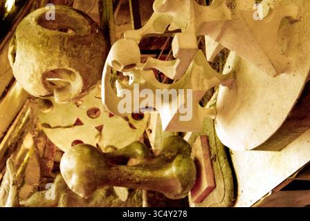 Atelier Wim Jonker, 12-04-2000 Whizgle News, Dutch Desk, pays-Bas, 1950-2000 Une collection de sculptures abstraites est suspendue au plafond, présentant diverses formes organiques. Les pièces présentent des surfaces lisses, des détails complexes et un mélange harmonieux de courbes et d'angles, créant une interaction visuelle dynamique. Banque D'Images