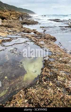 5 septembre 2015 - Sainte-Lucie, Afrique du Sud - marées à Sainte-Lucie, KwaZulu-Natal, Afrique du Sud - iSimangaliso Wetland Park (crédit image : © Edwin Remsberg / Vwpics/VW pics via ZUMA Wire) Banque D'Images