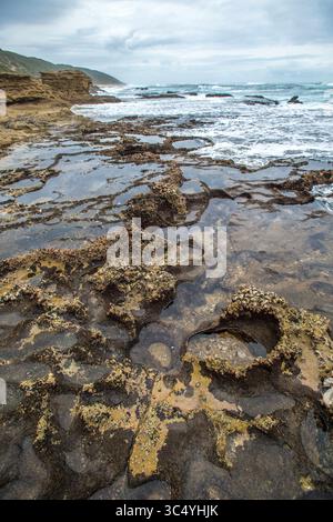 5 septembre 2015 - Sainte-Lucie, Afrique du Sud - marées à Sainte-Lucie, KwaZulu-Natal, Afrique du Sud - iSimangaliso Wetland Park (crédit image : © Edwin Remsberg / Vwpics/VW pics via ZUMA Wire) Banque D'Images