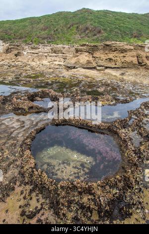 5 septembre 2015 - Sainte-Lucie, Afrique du Sud - marées à Sainte-Lucie, KwaZulu-Natal, Afrique du Sud - iSimangaliso Wetland Park (crédit image : © Edwin Remsberg / Vwpics/VW pics via ZUMA Wire) Banque D'Images