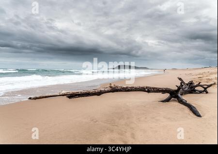 5 septembre 2015 - Sainte-Lucie, Afrique du Sud - plage spectaculaire à Sainte-Lucie, KwaZulu-Natal, Afrique du Sud - iSimangaliso Wetland Park (crédit image : © Edwin Remsberg / Vwpics/VW pics via ZUMA Wire) Banque D'Images