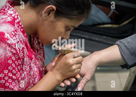 18 janvier 2017 - New Delhi, Inde - un artiste dessine soigneusement un dessin avec de l'encre de henné à New Delhi, Inde. (Crédit image : © Edwin Remsberg/VW pics via ZUMA Wire) Banque D'Images