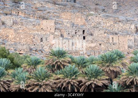 22 janvier 2017 - Oman - Wadi Ghul, Oman ; palmiers dattiers avec des ruines en arrière-plan (crédit image : © Edwin Remsberg/VW pics via ZUMA Wire) Banque D'Images