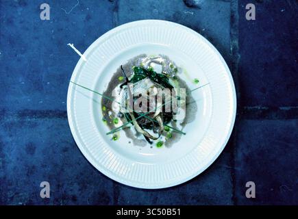 Décoré : The Red Deer, 21-04-1999 Whizgle News, Dutch Desk, pays-Bas, 1950-2000 Un plat magnifiquement plaqué avec de la viande tendre, garni de verts éclatants et d'herbes délicates, entouré d'une sauce savoureuse, le tout savamment disposé sur une simple assiette blanche. Banque D'Images