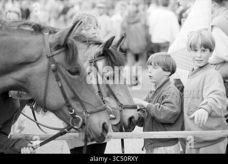 Midsummer Festival, Hillegom, 26-06-1991 Whizgle News, Dutch Desk, pays-Bas, 1950-2000 deux chevaux se tiennent côte à côte tandis que deux enfants interagissent avec eux, l'un regardant curieusement les chevaux tandis que l'autre semble plus concentré sur le caressage d'un. En arrière-plan, une foule est visible, créant une atmosphère animée lors de l'événement. Banque D'Images