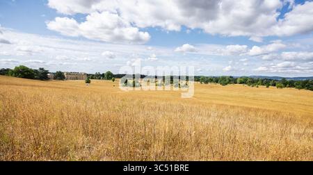 Vue panoramique de Croome court Country House à travers le parc blanchi par le soleil à Croome, près de Worcester, Worcestershire, Royaume-Uni le 16 juillet 2025 Banque D'Images