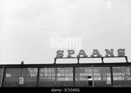 Démolition et amiante, Spaans Babcock, Hoofddorp, pays-Bas, 10-03-1993 Whizgle News, Dutch Desk, pays-Bas, 1950-2000 Une figure se dresse au sommet d'un toit, surplombant le bâtiment marqué du mot « SPAANS », sous un ciel large. Le style industriel de la structure comporte de grandes fenêtres et un bord architectural distinct. Banque D'Images