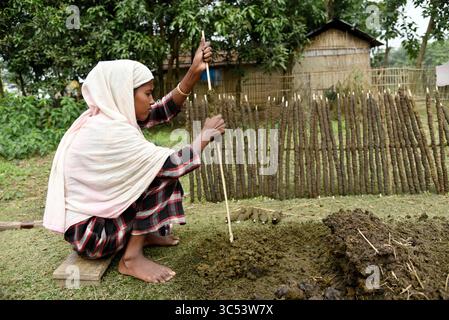 19 décembre 2019, Guwahati, Assam, Inde : une femme fabrique des bâtons de feu de bouse de vache et les met à sécher au soleil. (Crédit image : © David Talukdar/ZUMA Wire/ZUMAPRESS.com) Banque D'Images