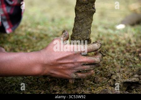 19 décembre 2019, Guwahati, Assam, Inde : une femme fabrique des bâtons de feu de bouse de vache et les met à sécher au soleil. (Crédit image : © David Talukdar/ZUMA Wire/ZUMAPRESS.com) Banque D'Images