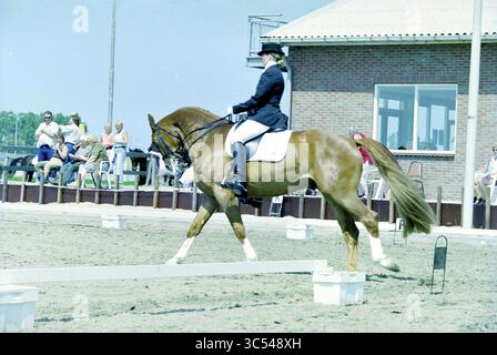 Championnat néerlandais de dressage, Hoofddorp, pays-Bas, 28-05-2003 Whizgle News, Dutch Desk, pays-Bas, 1950-2000 Un cavalier en tenue formelle guide gracieusement un cheval de châtaignier dans une routine de dressage, mettant en valeur l'élégance et la précision, tandis qu'un public observe en arrière-plan. Banque D'Images