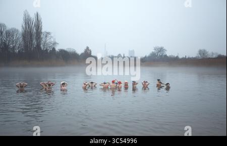 22 décembre 2019, Varsovie, Pologne : Réunion du réveillon de Noël et bain conjoint de Varsovie fans des bains froids -les morses de Varsovie. SUR LA PHOTO : Varsovie fans de Thermes terriblement froids (crédit image : © Hubert Mathis/ZUMA Wire) Banque D'Images