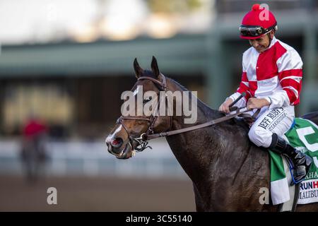 28 décembre 2019, Arcadia, Californie, États-Unis : DÉCEMBRE 28 : Omaha Beach avec Mike Smith remporte les Malibu Stakes au Santa Anita Park à Arcadia, Californie le 28 décembre 2019. Evers/Eclipse Sportswire/CSM(image de crédit : &copy ; Evers/CSM via ZUMA Wire) Banque D'Images