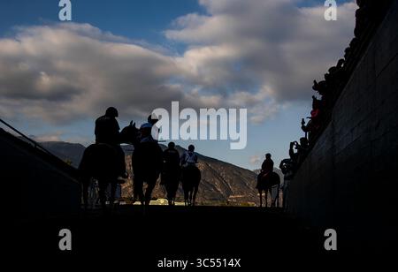 28 décembre 2019, Arcadia, Californie, États-Unis : DÉCEMBRE 28 : Omaha Beach avec Mike Smith remporte les Malibu Stakes au Santa Anita Park à Arcadia, Californie le 28 décembre 2019. Evers/Eclipse Sportswire/CSM(image de crédit : &copy ; Evers/CSM via ZUMA Wire) Banque D'Images