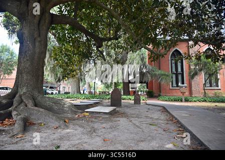 Les vieilles pierres tombales sont ombragées par un grand magnolia à l'église historique Christ Episcopal, construite en 1871, dans le centre-ville de New Bern, Caroline du Nord Banque D'Images