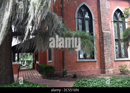 Draps de mousse espagnole sur des arbres anciens à l'église historique Christ Episcopal, construite en 1871 dans le centre-ville de New Bern, Caroline du Nord Banque D'Images