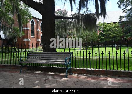 Banc de trottoir ombragé par un vieil arbre avec de la mousse espagnole à l'église historique Christ Episcopal dans le centre-ville de New Bern, Caroline du Nord Banque D'Images
