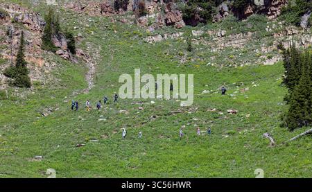 Le parc national de Grand Teton offre certaines des randonnées d'une journée les plus spectaculaires et enrichissantes de l'Ouest américain Banque D'Images