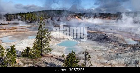 Porcelaine Basin, Norris Geyser Basin, parc national de Yellowstone Banque D'Images