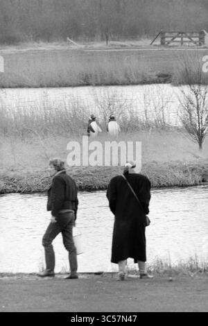 Penguins in the Spaarnwoude Recreational Area, Miscellaneous, 31-03-1988 Whizgle News, Dutch Desk, pays-Bas, 1950-2000 deux individus se tiennent près du bord de l'eau, regardant vers une paire de pingouins sur une petite île herbeuse, entourée d'une végétation clairsemée et d'une scène tranquille. Une clôture rustique est visible en arrière-plan, ajoutant à l'atmosphère sereine. Banque D'Images