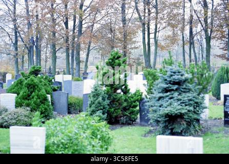 Cimetière Wilgenhof, Vijfhuizen, Vijfhuizen, 12-11-1997 Whizgle News, Dutch Desk, pays-Bas, 1950-2000 Un cimetière serein rempli de pierres tombales soigneusement arrangées, entouré de verdure luxuriante et d'arbres. L'atmosphère est paisible, évoquant un sentiment de réflexion tranquille au milieu des douces teintes automnales. Banque D'Images
