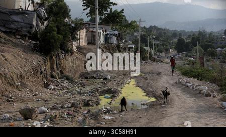 16 novembre 2019, Port-au-Prince, HAI : les chèvres errent le long d'un chemin de terre de fortune qui passe par le camp de Teren Toto à la frontière des villes de Tabarre et Delmas en Haïti. (Crédit image : © TNS via ZUMA Wire) Banque D'Images