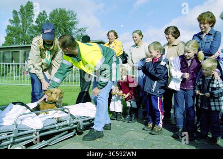 Animal Ambulance fournit une assistance aux chiens blessés, 06-10-2000','06-10-2001 Whizgle News, Dutch Desk, pays-Bas, 1950-2000 Un groupe de personnes, y compris des enfants et des adultes, se rassemblent autour d'une civière où un chien est soigné par un ambulancier. L'atmosphère est un mélange de préoccupation et de curiosité, alors que les spectateurs observent la scène, montrant les soins d'une communauté pour les animaux dans le besoin. Banque D'Images