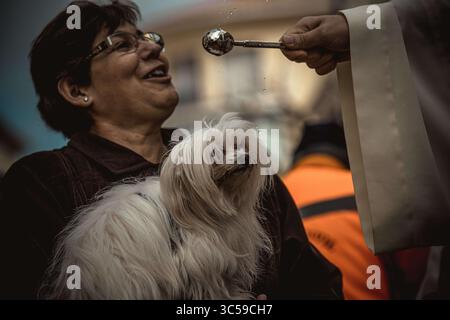 17 janvier 2020, Mahon, Îles Baléares, Espagne : un chien est béni par un prêtre à Mahon à la Saint Antoine, saint patron des animaux, et à la fête nationale de Minorque (crédit image : © Matthias Oesterle/ZUMA Wire) Banque D'Images
