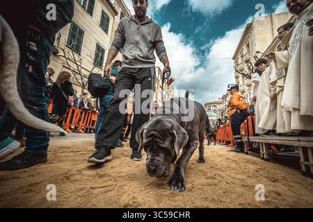 17 janvier 2020, Mahon, Îles Baléares, Espagne : un chien est béni par un prêtre à Mahon à la Saint Antoine, saint patron des animaux, et à la fête nationale de Minorque (crédit image : © Matthias Oesterle/ZUMA Wire) Banque D'Images