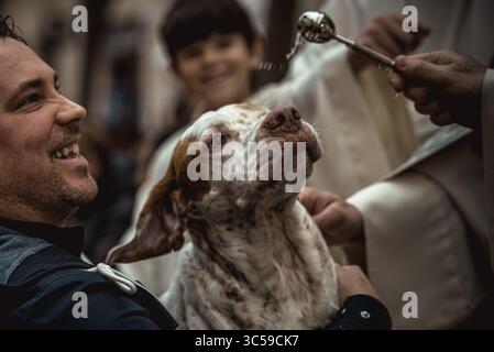 17 janvier 2020, Mahon, Îles Baléares, Espagne : un chien est béni par un prêtre à Mahon à la Saint Antoine, saint patron des animaux, et à la fête nationale de Minorque (crédit image : © Matthias Oesterle/ZUMA Wire) Banque D'Images