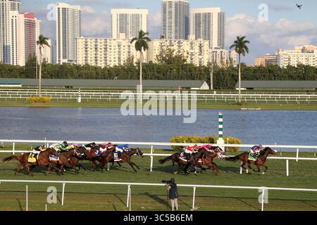 25 janvier 2020, Hallandale, Floride, États-Unis d'Amérique : HALLANDALE BEACH, FL - JANVIER 25 : les invités assistent à la série sur invitation du Championnat du monde Pegasus 2020 au Gulfstream Park le 25 janvier 2020 à Hallandale, Floride...personnes : invités (crédit image : © SMG via ZUMA Wire) Banque D'Images