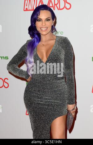 25 janvier 2020, Las Vegas, NV, États-Unis : LAS VEGAS - 12 janvier : Foxxy aux AVN (Adult Video News) Awards 2020 au Hard Rock Hotel & Casino le 12 janvier 2020 à Las Vegas, NV (crédit image : © Kathy Hutchins via ZUMA Wire) Banque D'Images